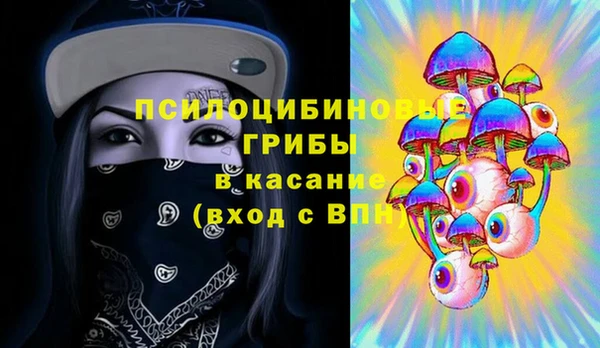 скорость Липки