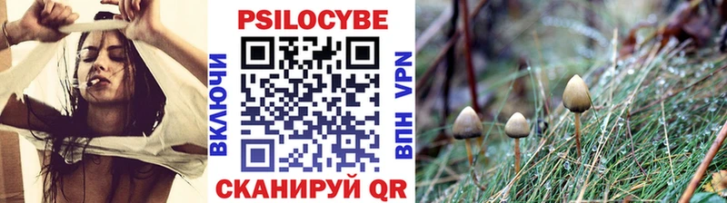 купить   Райчихинск  Галлюциногенные грибы прущие грибы 